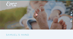 Desktop Screenshot of evangelicalsforlife.com
